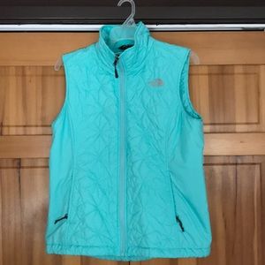 The north face vest
